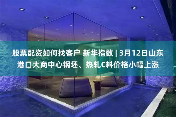 股票配资如何找客户 新华指数 | 3月12日山东港口大商中心钢坯、热轧C料价格小幅上涨