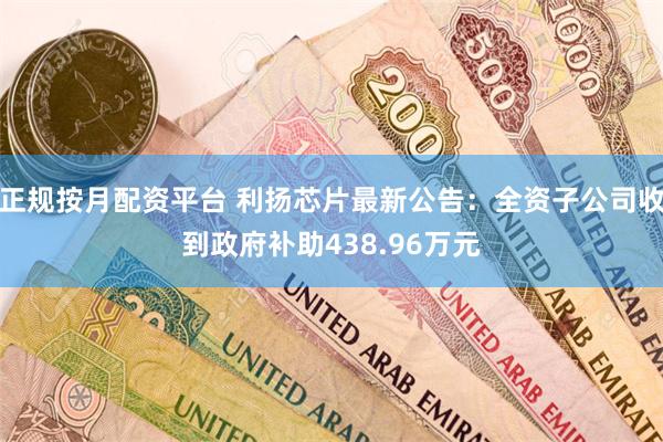 正规按月配资平台 利扬芯片最新公告：全资子公司收到政府补助438.96万元