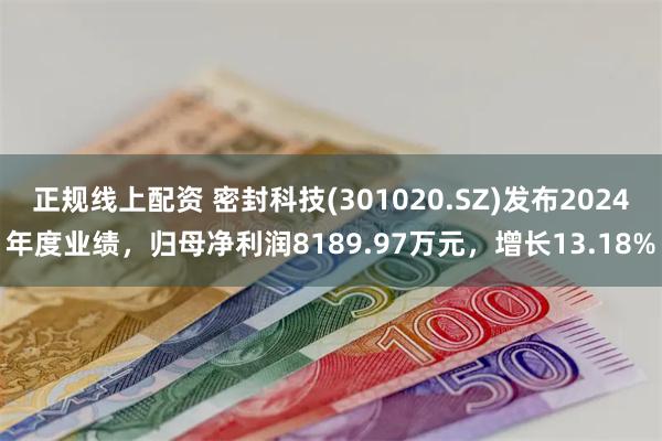 正规线上配资 密封科技(301020.SZ)发布2024年度业绩，归母净利润8189.97万元，增长13.18%