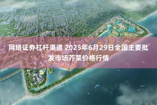 网络证劵杠杆渠道 2025年6月29日全国主要批发市场芥菜价格行情